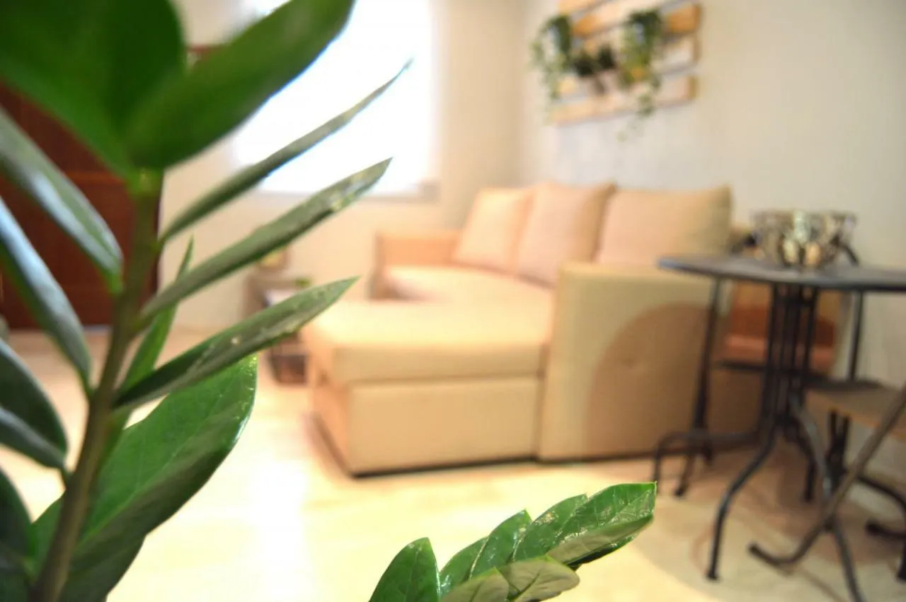 Apartamento La Vina Διαμέρισμα Καντίζ 0*,
